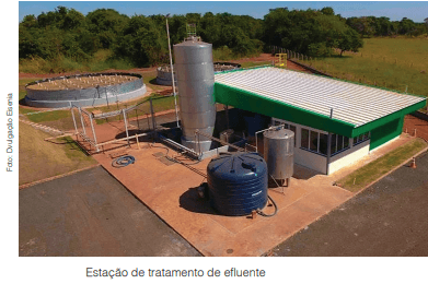 Vermifiltração para o tratamento de esgoto